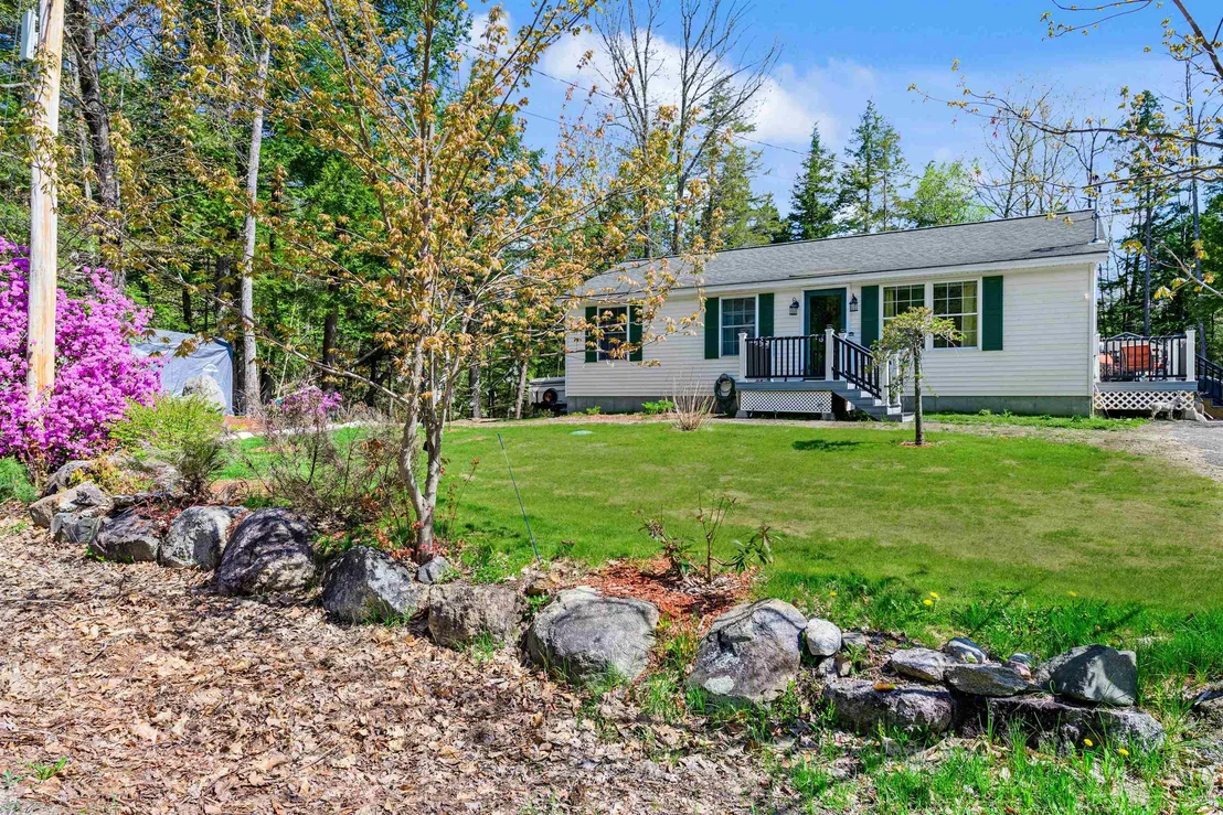 Photo of 26 Birch Tree