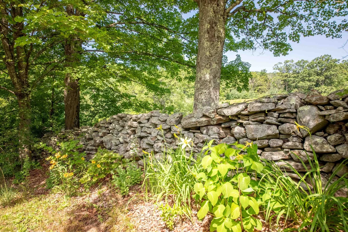 Photo of 254 Lawrence