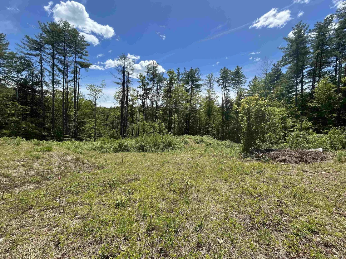 Photo of 14 Sugar Lot