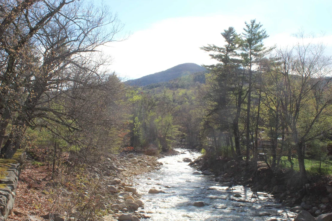 Photo of 90 Chandler Mountain