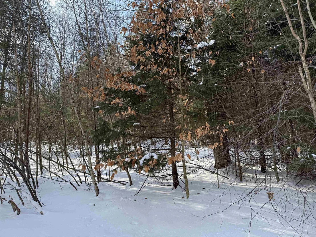 Photo of Unit 12 at 19 Stone Ridge