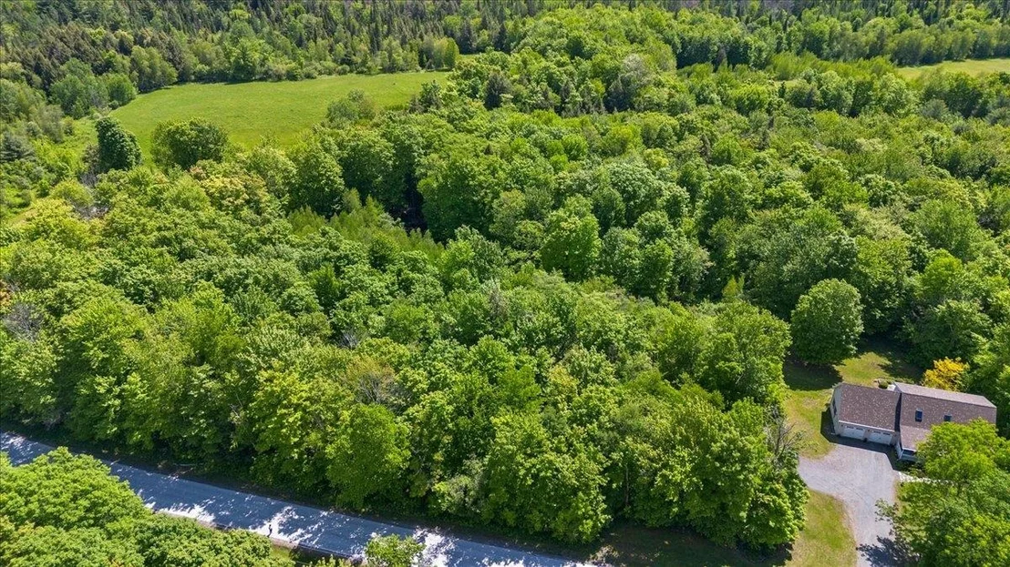 Photo of Lot 2 Pion