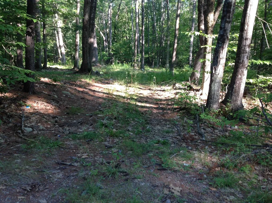 Photo of 29 Stoneview