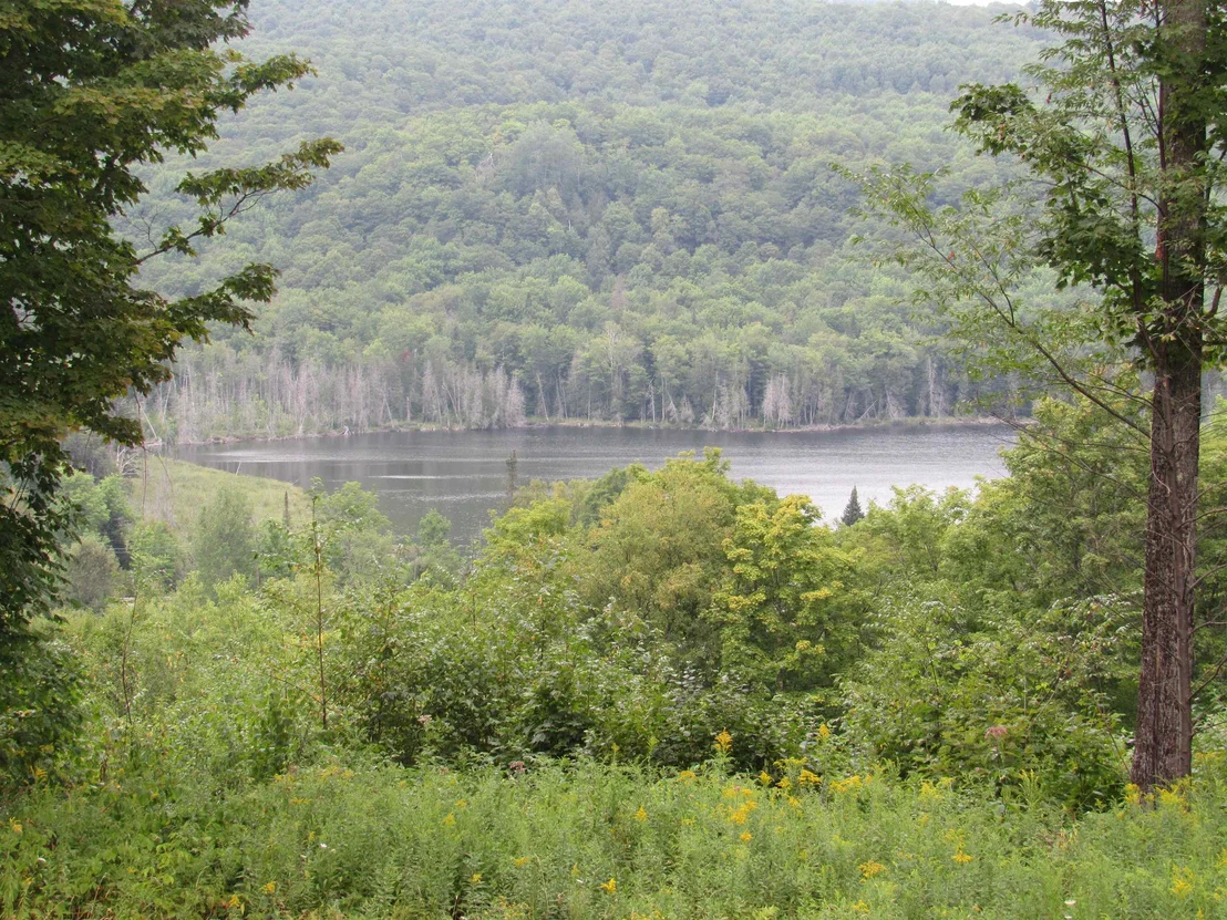 Photo of 6791 US Route 5