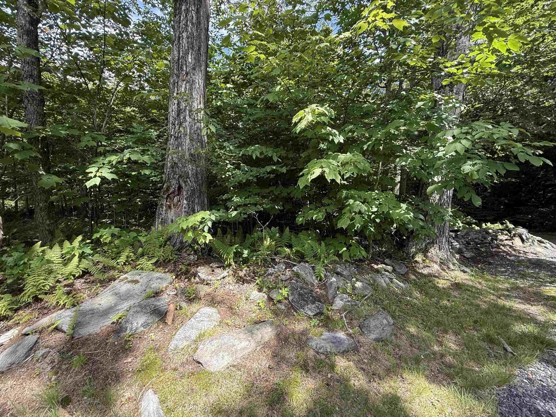 Photo of Unit LOT9 at 712 Stimpson Hill