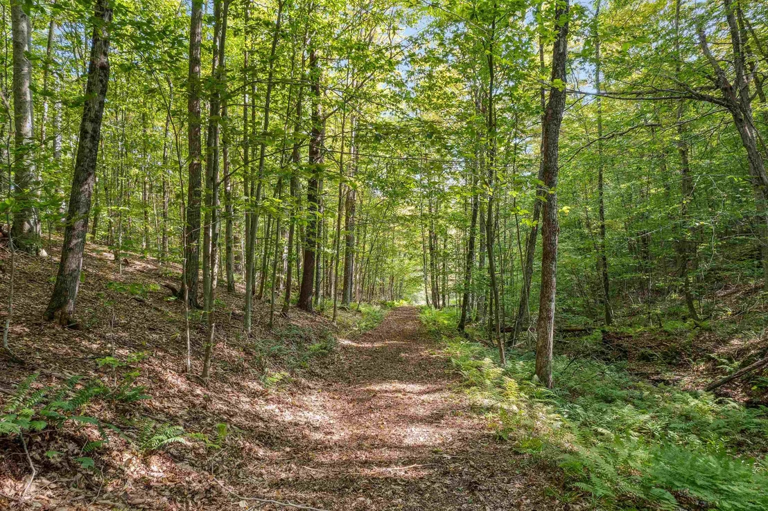 Photo of 2230 Quimby Mountain
