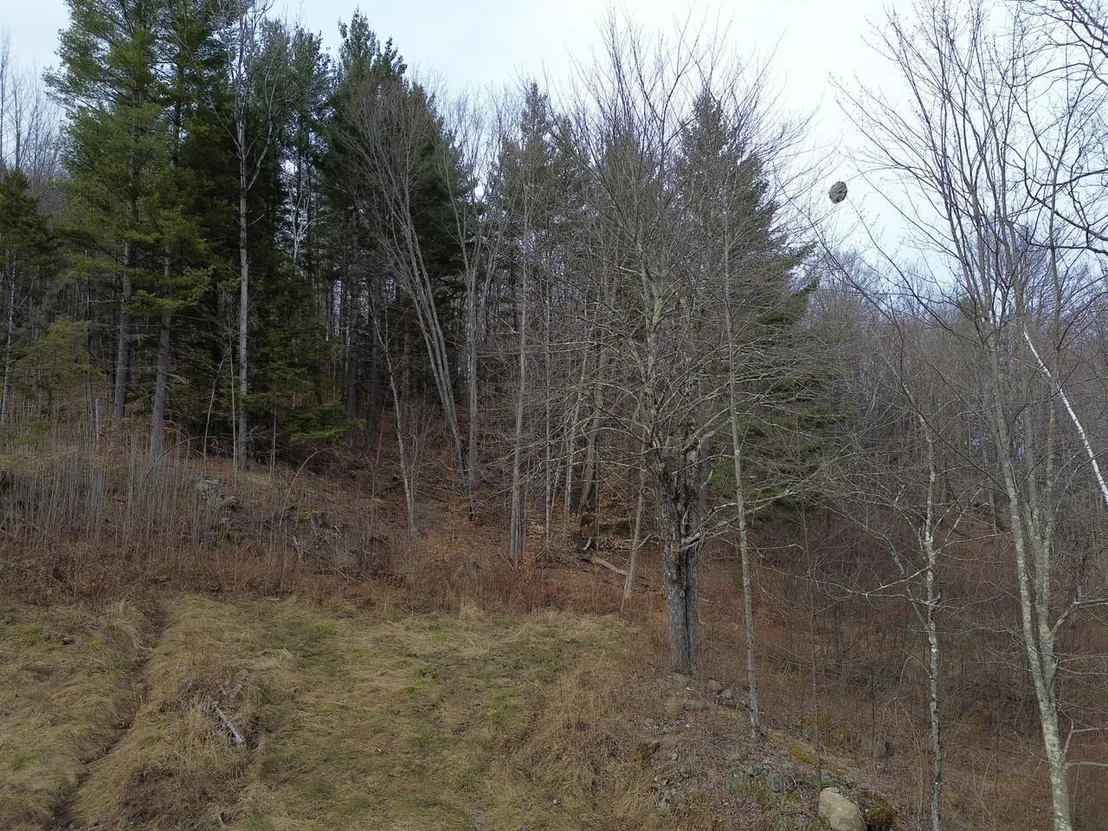 Photo of Unit 3 at 00 Bent Birch