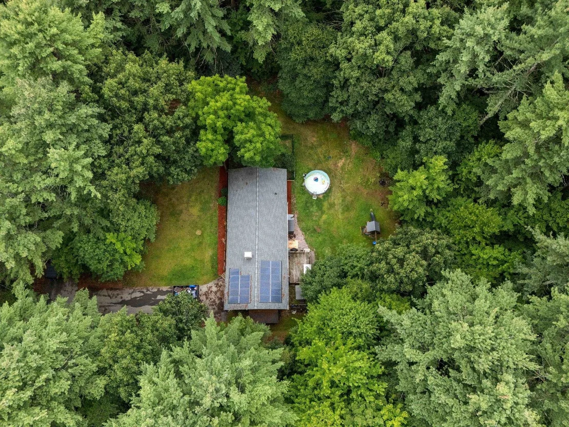 Photo of 6 Juniper