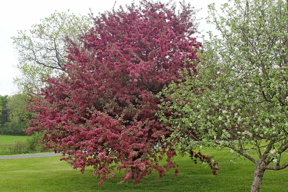 Photo of 3588 Route 144