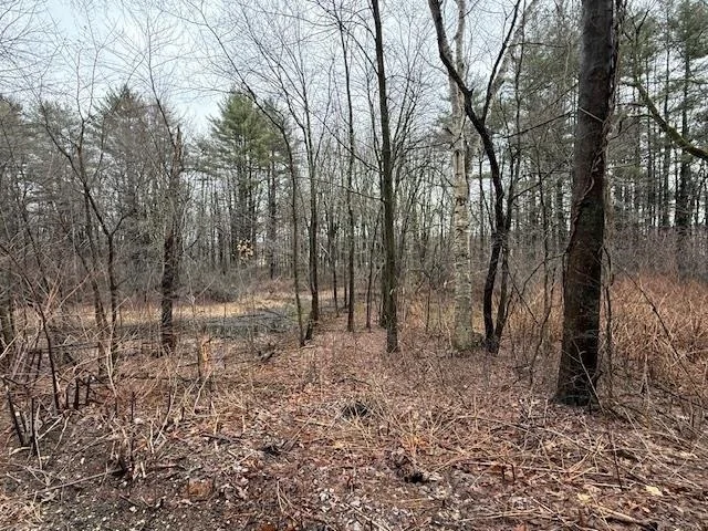 Photo of 269 West River