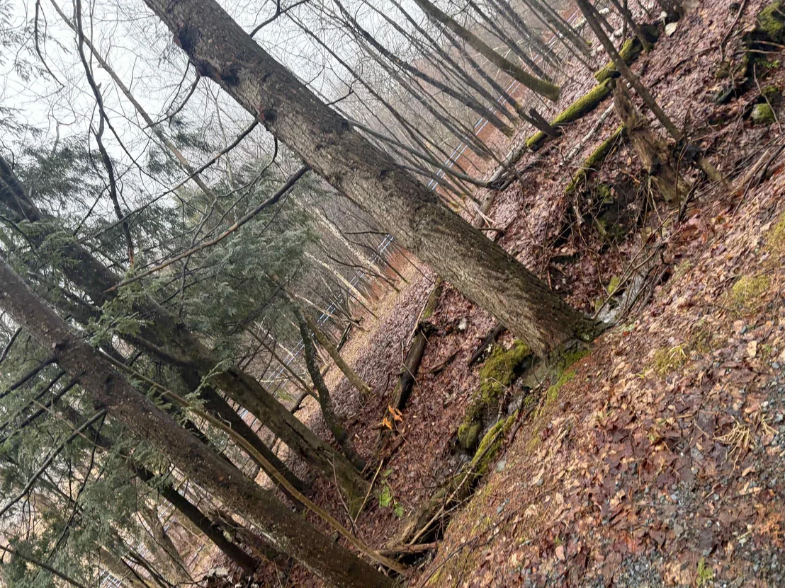 Photo of 223 Deming