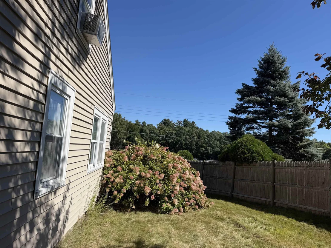 Photo of 39 Pike