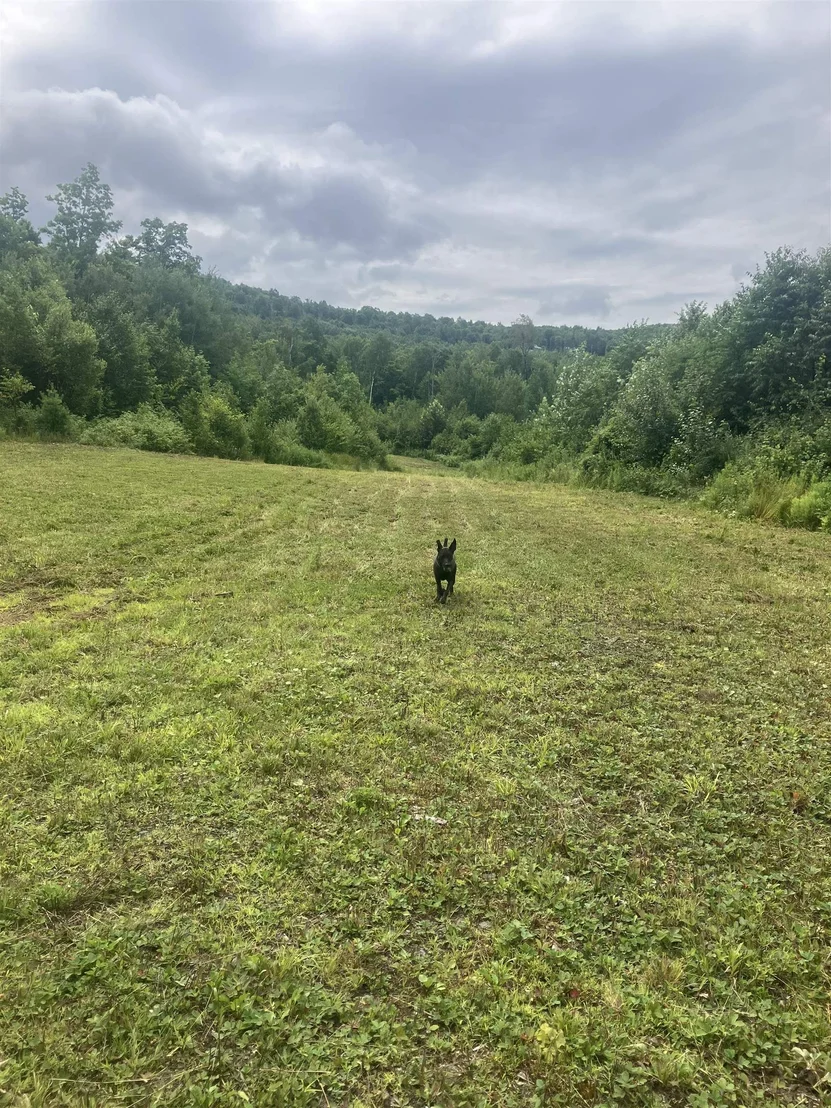 Photo of Lot 2&3 Washburn/Meridan Hill