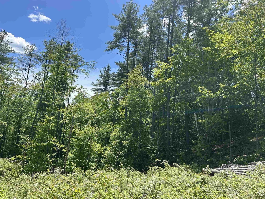 Photo of 14 Sugar Lot