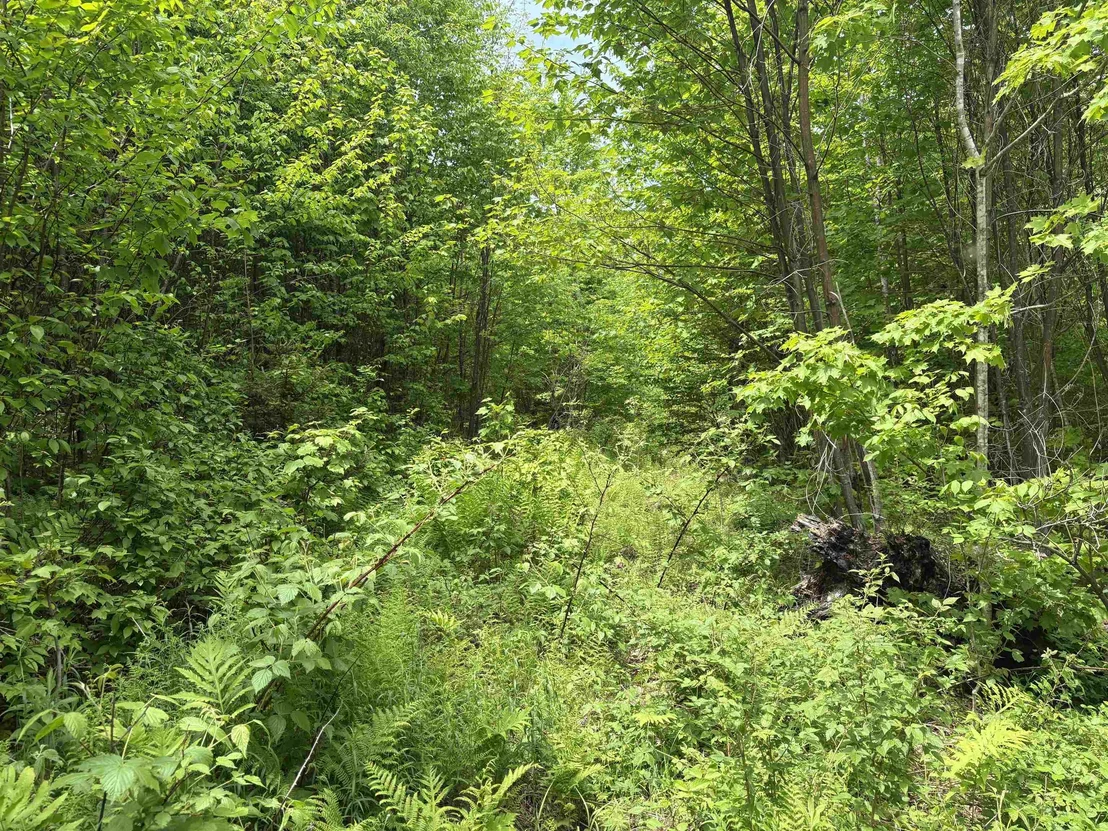 Photo of 0 Old Pond Hill