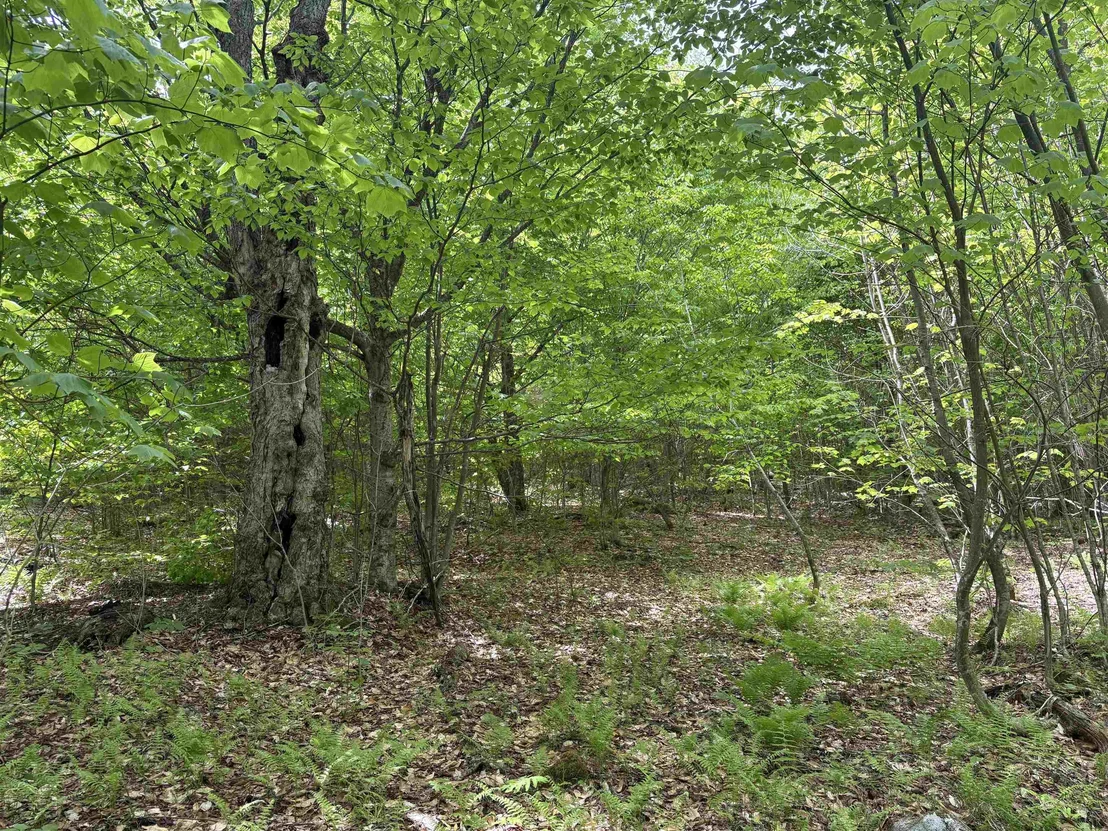 Photo of 0 Old Pond Hill