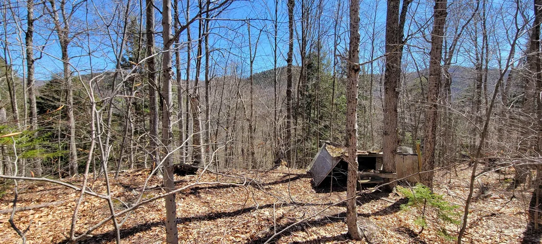 Photo of Unit 7 at 7 Spring Hill