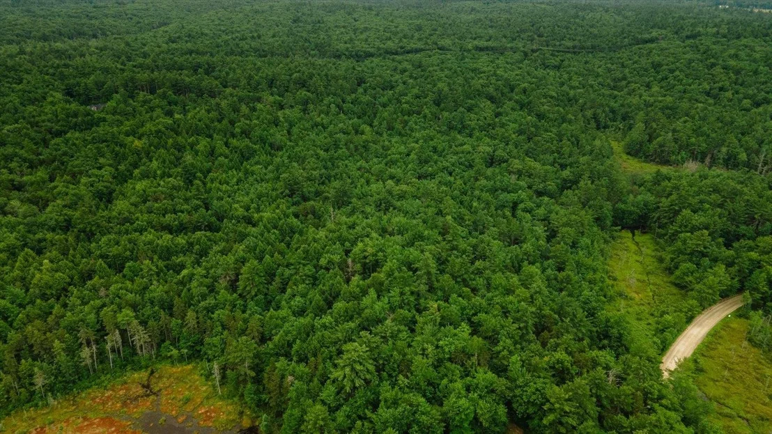 Photo of Lot 0 Pine