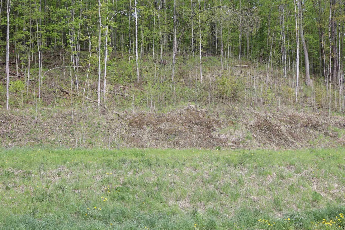 Photo of Unit LOT9 at 9 Maplewood