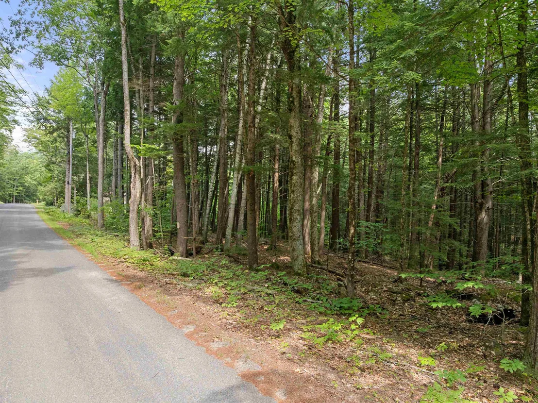 Photo of 32 Forest Pond