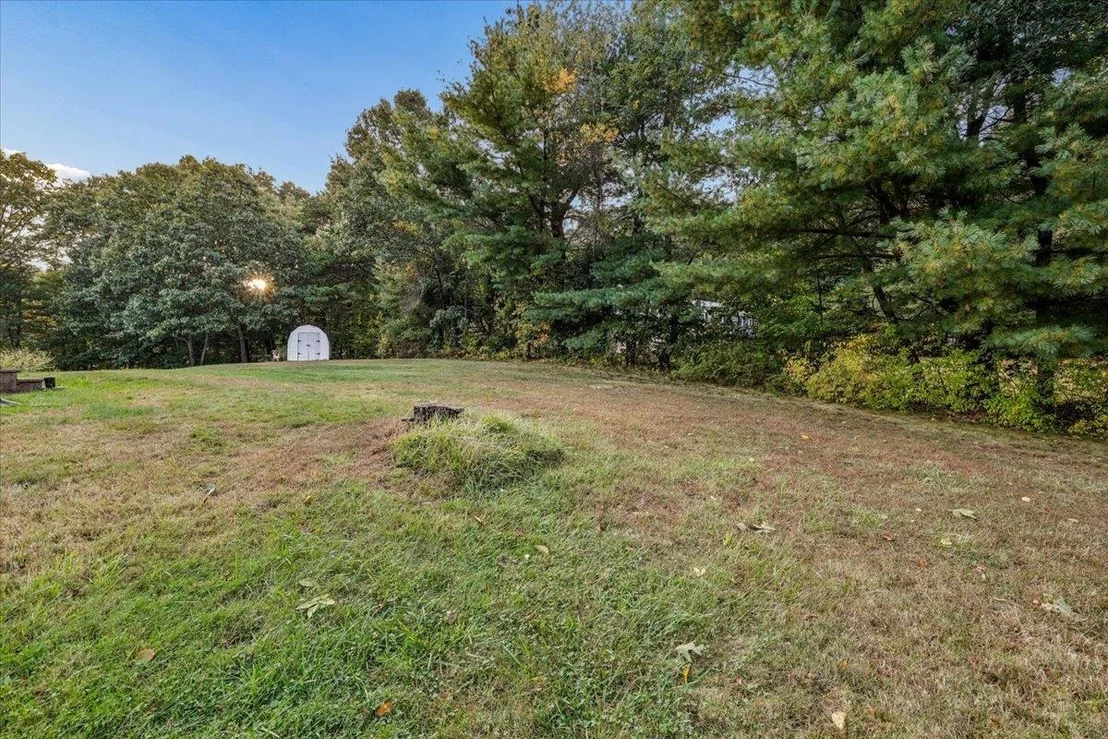 Photo of 30 Whippoorwill