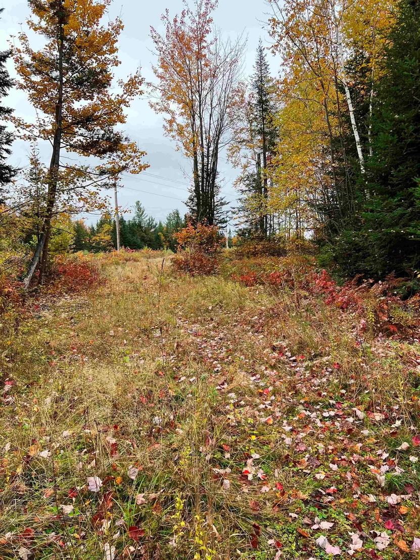 Photo of 408-105 Evergreen