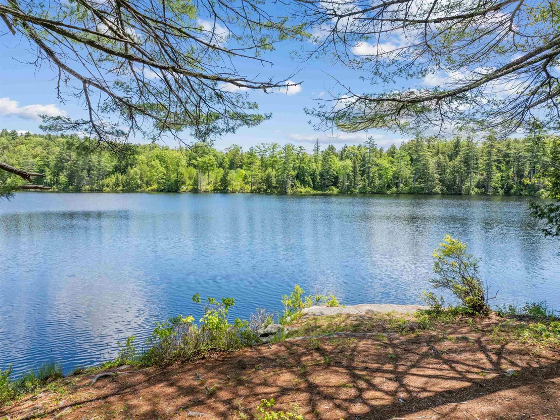 Photo of 47 Forest Pond