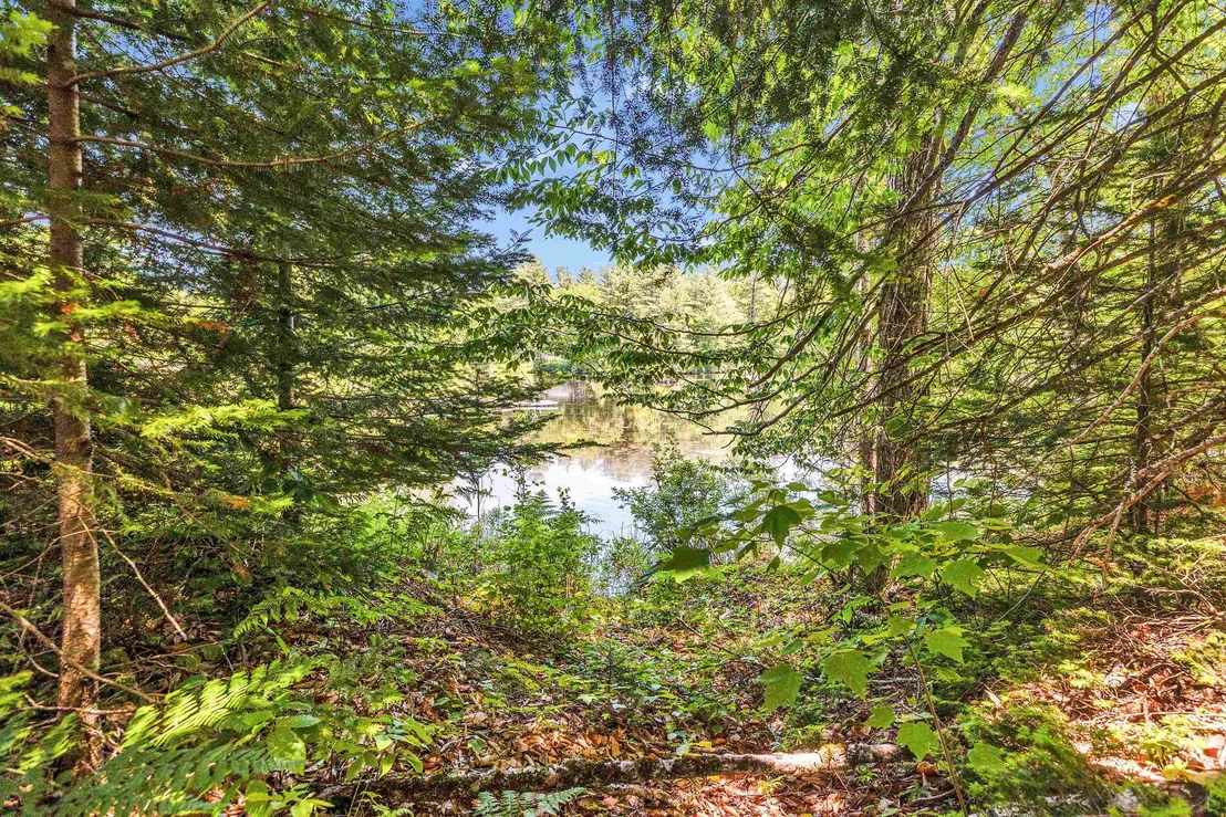 Photo of 43 Brook