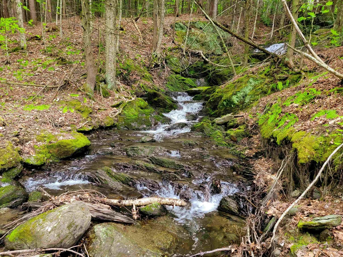 Photo of 167 High Meadow