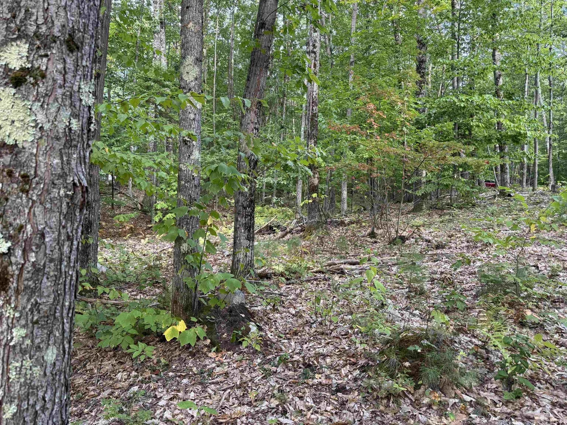 Photo of 26 Circuit