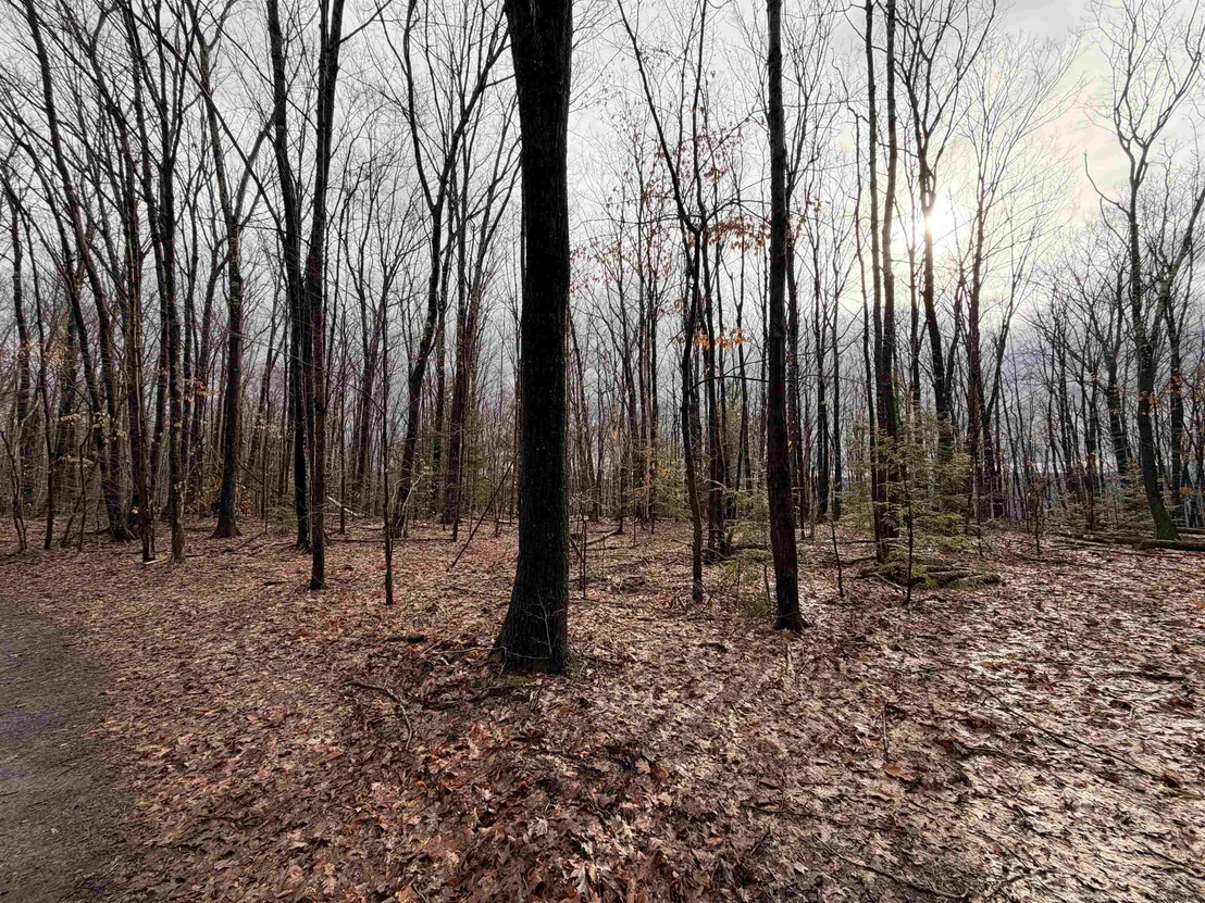 Photo of 0 Old Walpole/Valley View
