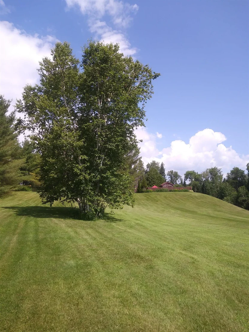 Photo of 1851 Valley