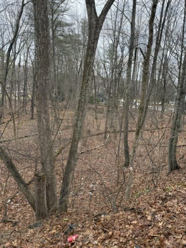 Photo of 2 Shore