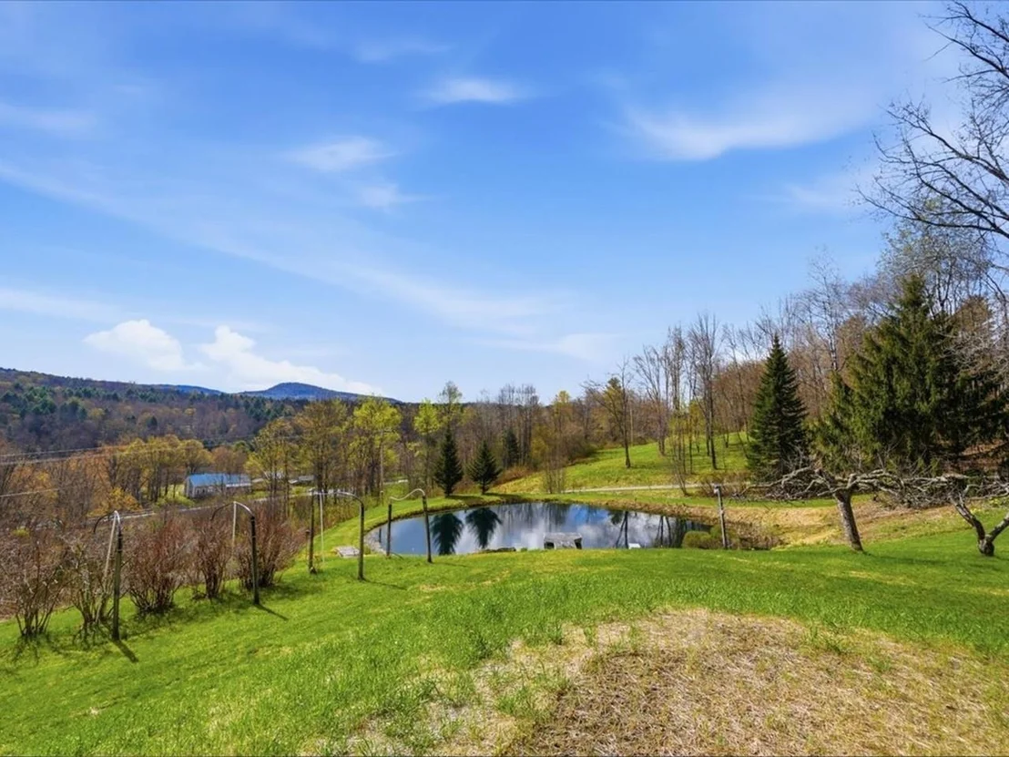 Photo of 12 Briar Patch