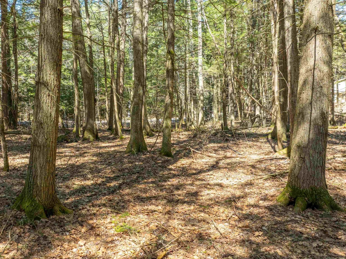 Photo of 00 Morrill Bend