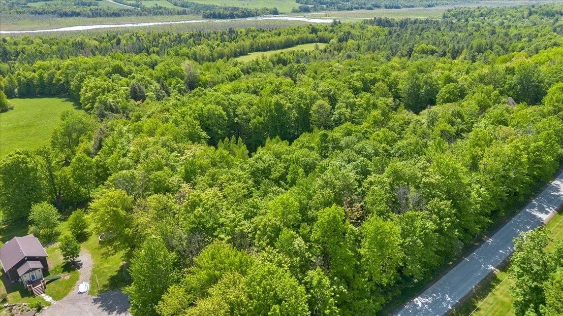 Photo of Lot 2 Pion