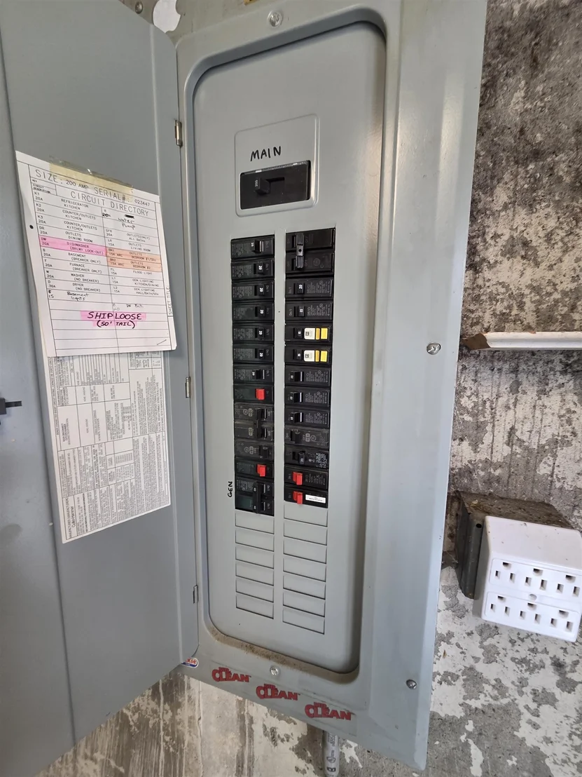 Photo of 317 Potato
