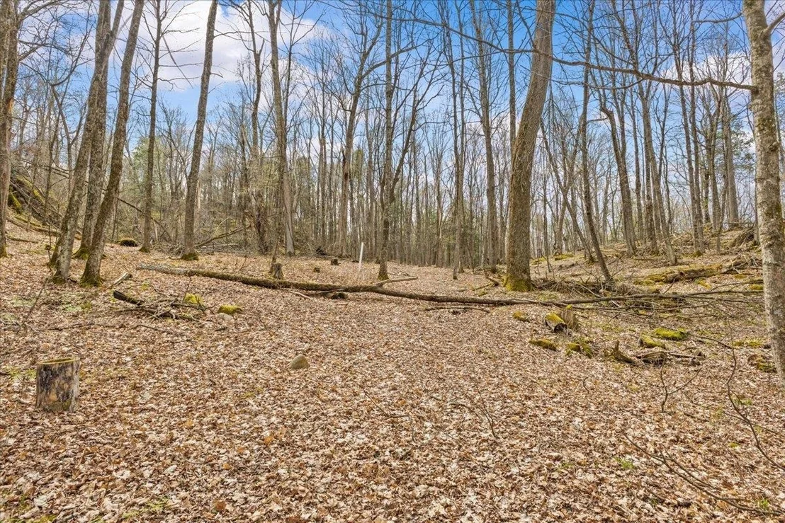 Photo of Unit LOT1 at 0 Bullock
