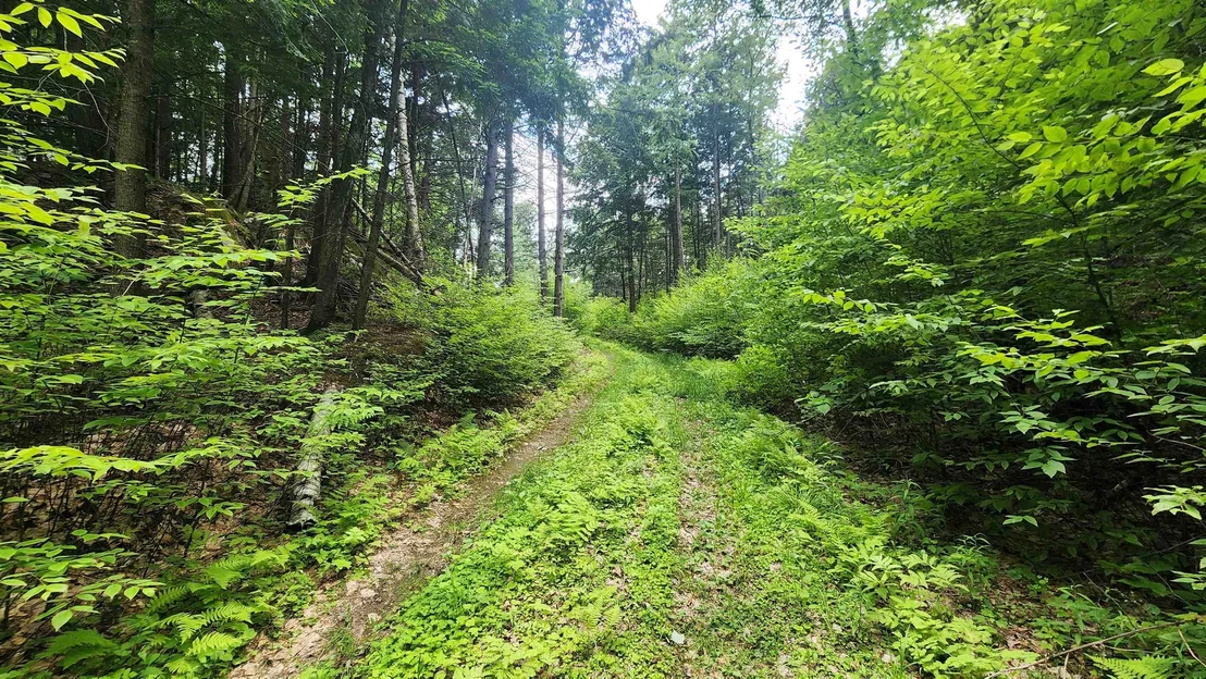 Photo of 0 Spencer Hollow