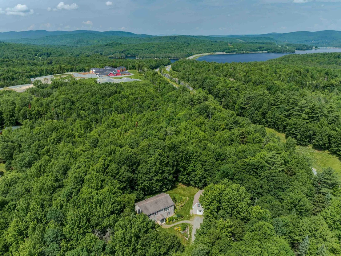 Photo of 61 Forest