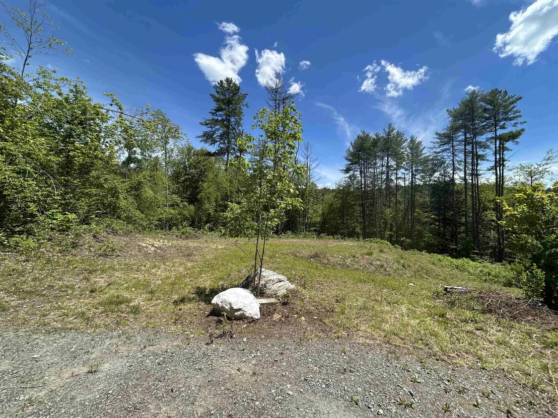 Photo of 14 Sugar Lot