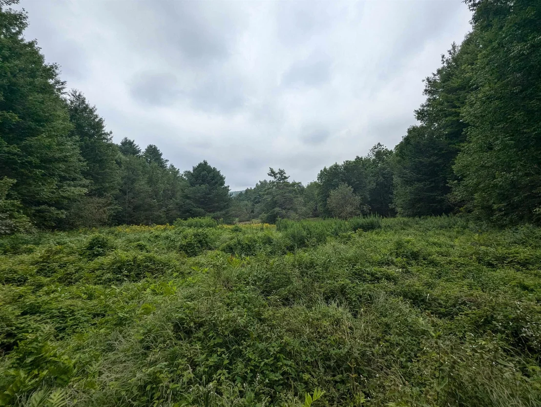 Photo of 187 East Hill