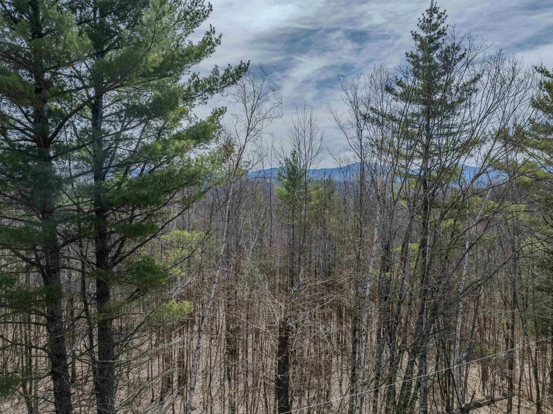 Photo of Lot 2 Mountain