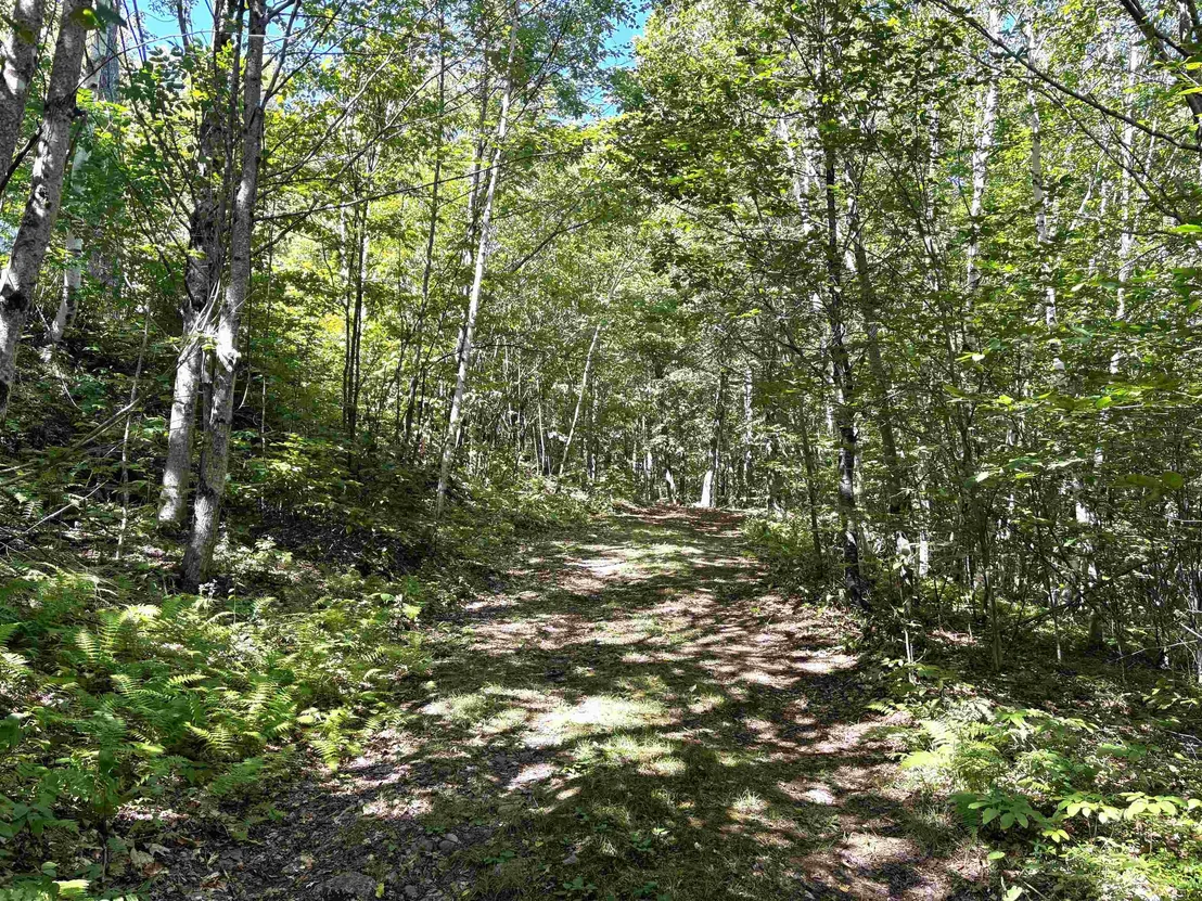 Photo of 00 Quaker Path