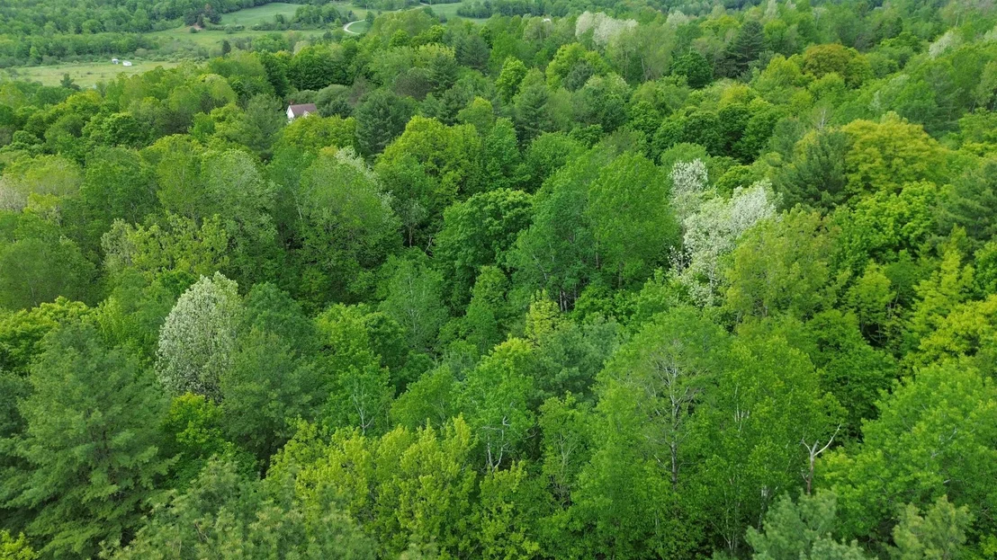 Photo of 7 Sugar Hill