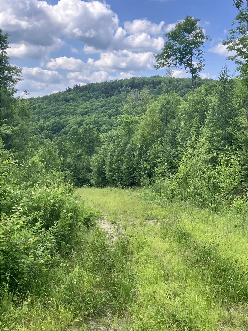 Photo of Lot 2&3 Washburn/Meridan Hill