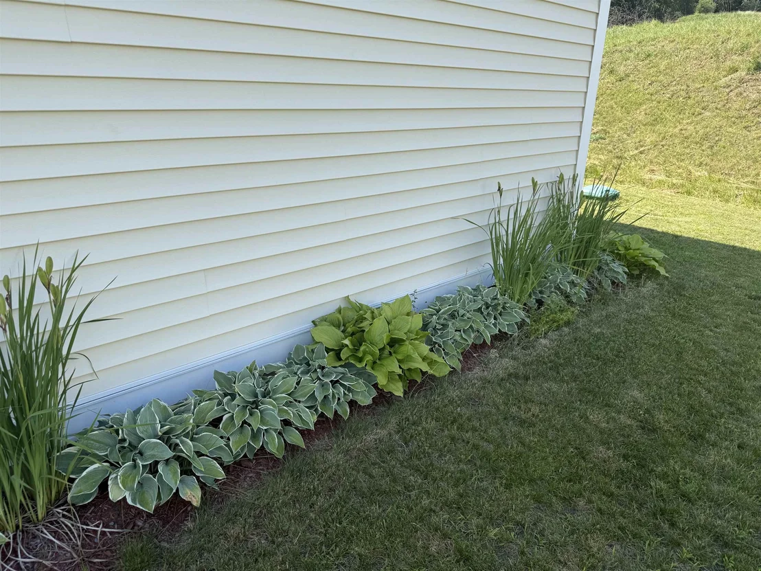 Photo of 29 Payton