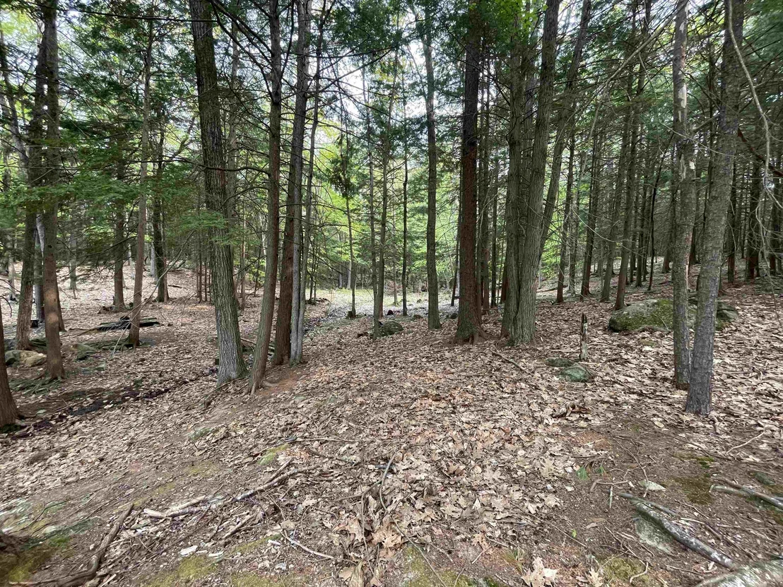 Photo of Map 212, Lot 49 Durrell Mountain