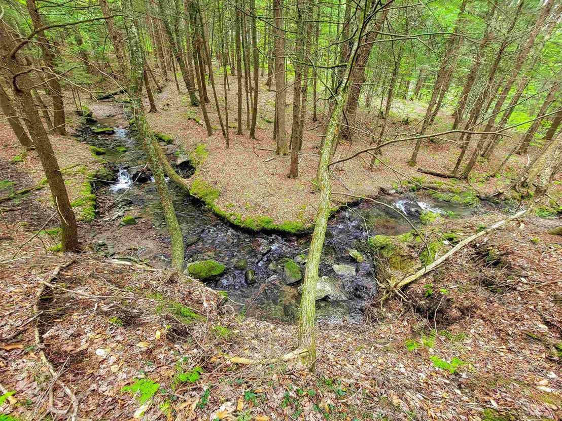Photo of 167 High Meadow