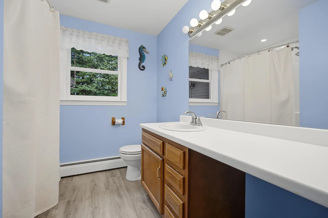 Photo of 17 Skylark